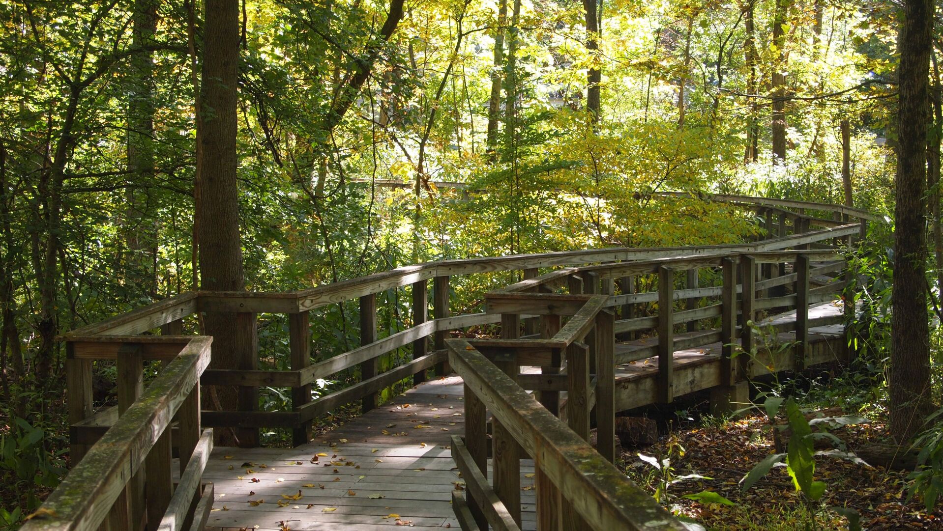 Wildlands boardwalk trail
